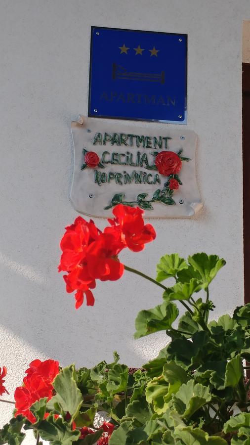 Apartment Cecilia Koprivnica Eksteriør bilde